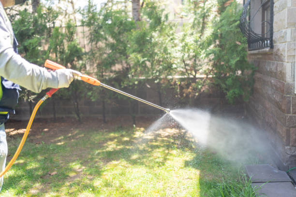 Bird Control in Clayton, NJ