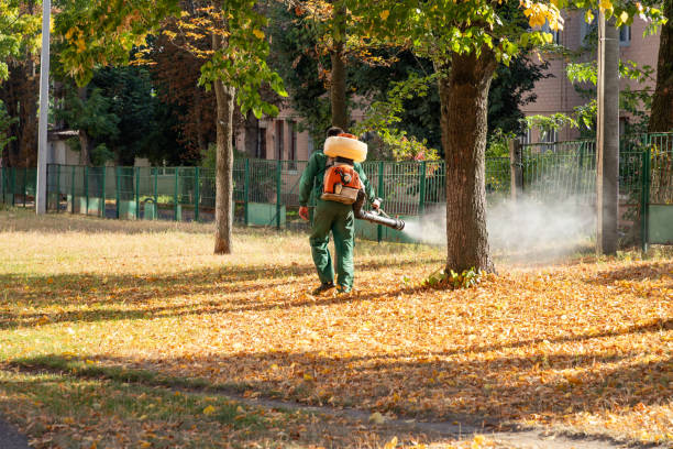 Best Best Pest Control Companies  in Clayton, NJ